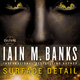 Illustration for article titled Preview iSurface Detail/i by Iain M. Banks